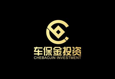 东莞市车保金投资控股