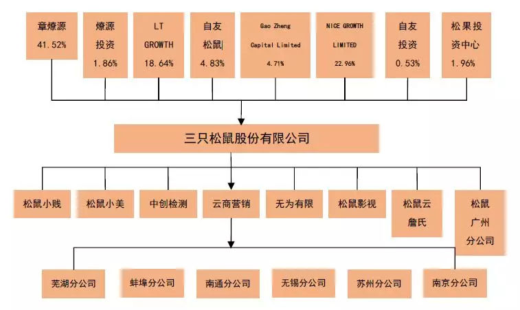 “馋嘴零食”三只松鼠,拟上市公司股权激励如何操作?