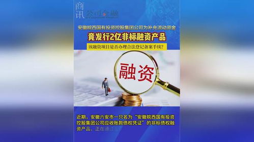 安徽皖西国有投资控股集团公司为补充流动资金竟发行2亿非标融资产品