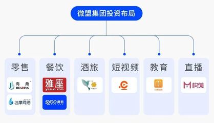 6亿美元融资就位 看微盟如何“深挖坑、广积粮、高筑墙”