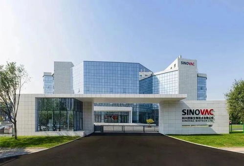 中国药企出海动态 跨国交易与投资控股趋势分析