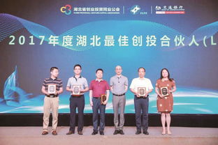 投资改革增引力，资本汇聚强产业——投资控股的发展新路径